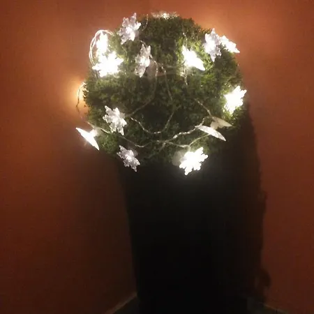 Kamienica Lägenhet *